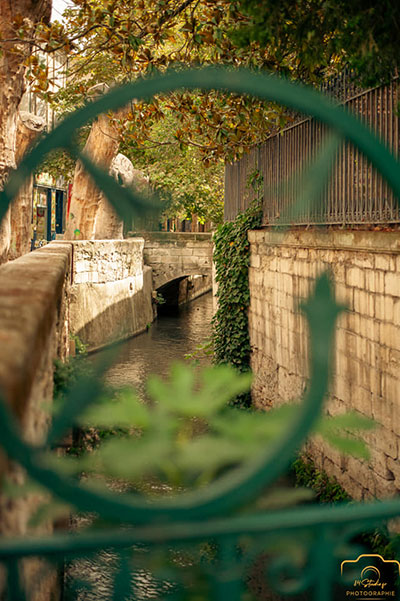 Rue des Teinturiers - Que faire à Avignon