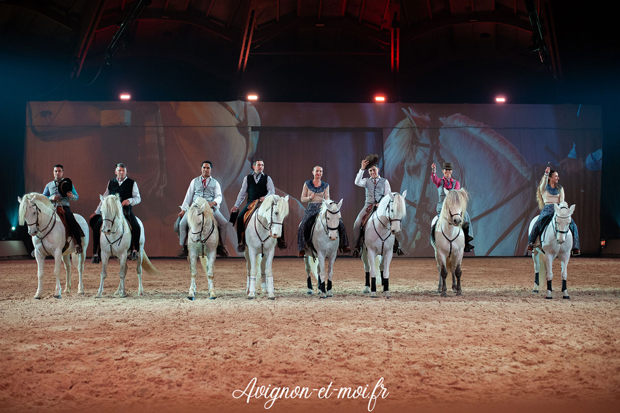 Gala Crinière d'Or - Photo 3