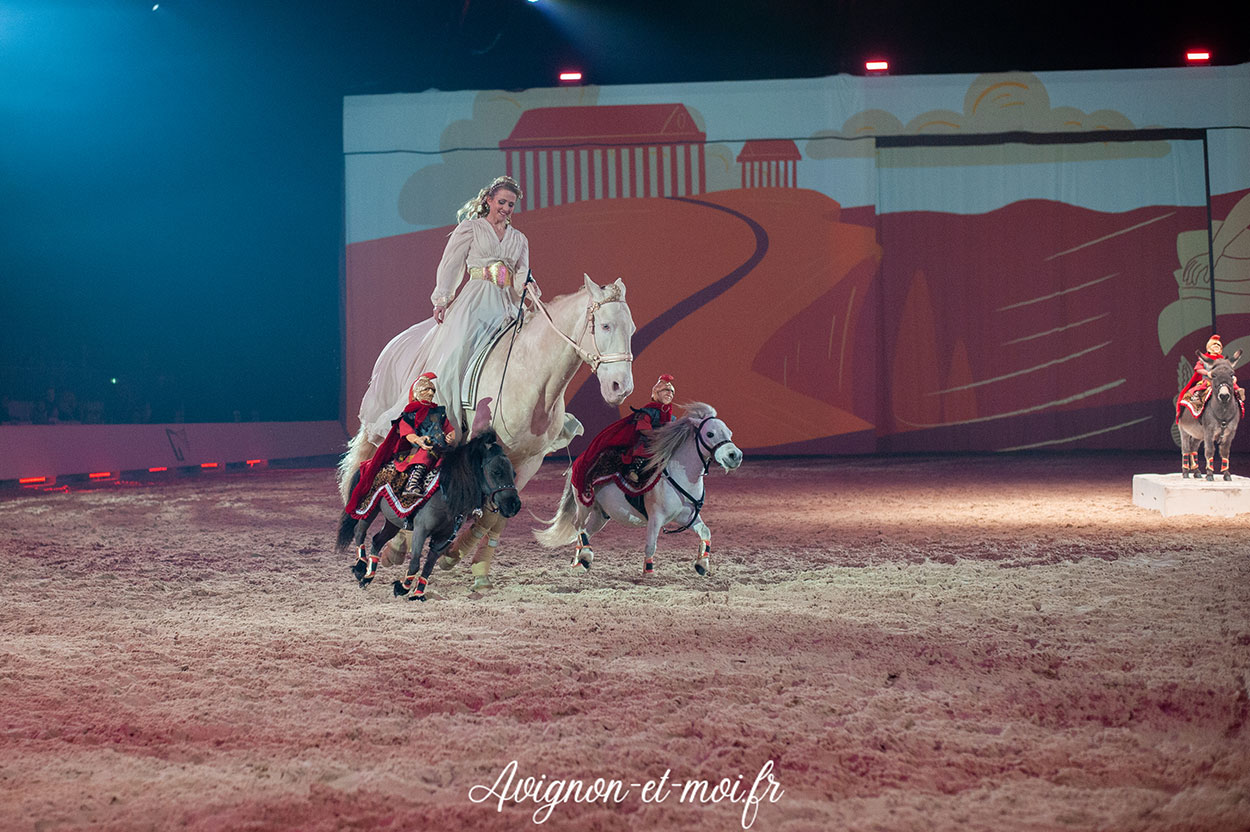 Gala Crinière d'Or - Photo 5