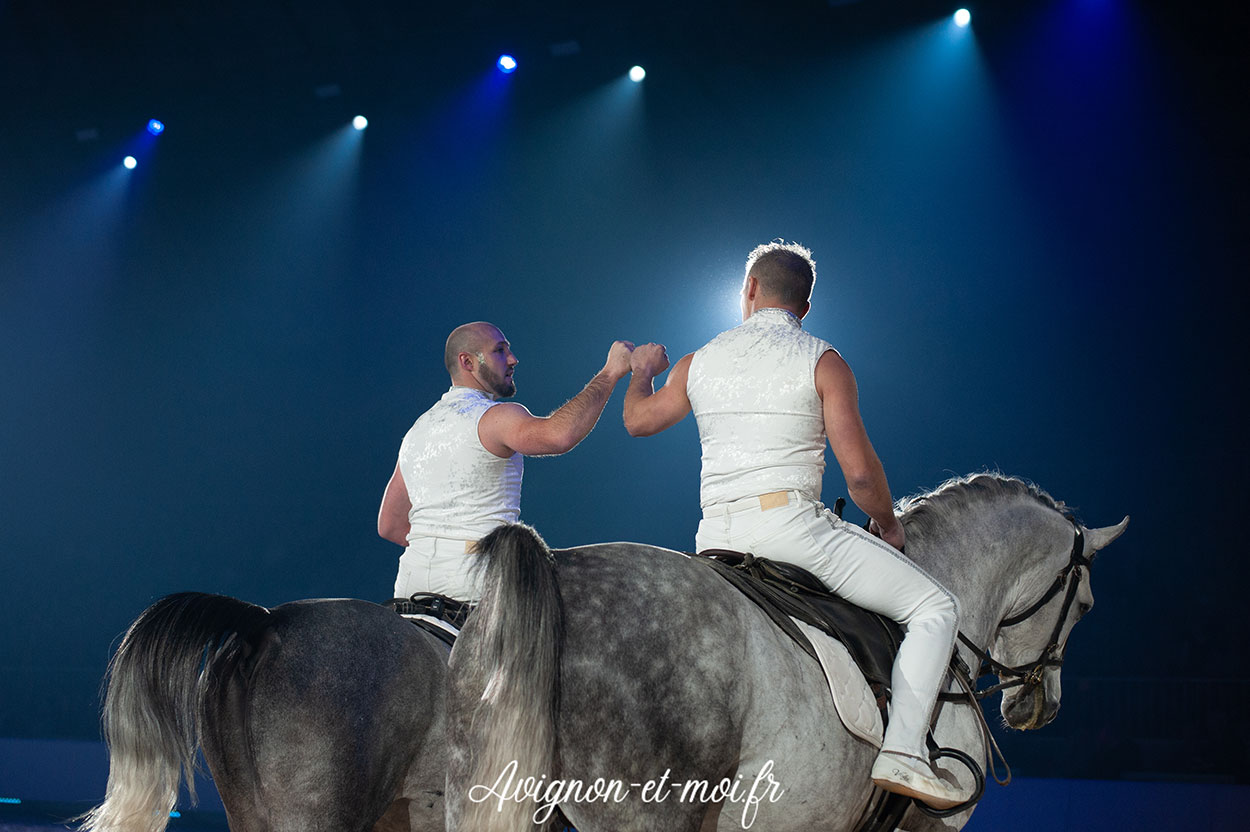 Gala Crinière d'Or - Photo 6