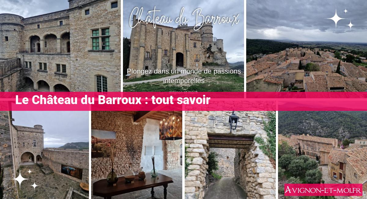 Château du Barroux : plongez dans un monde de passions intemporelles ...