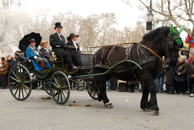 Festivités Saint-Valentin à Roquemaure - Photo 2